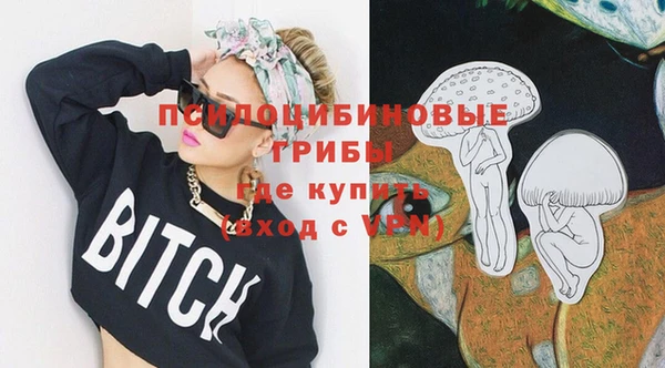 ГАЛЛЮЦИНОГЕННЫЕ ГРИБЫ Переславль-Залесский