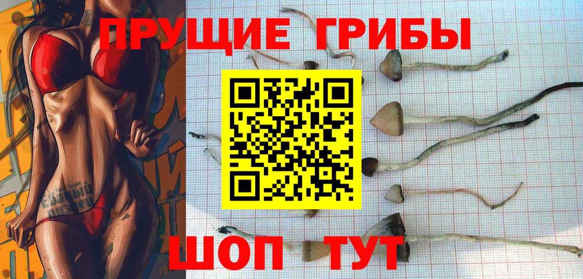 Псилоцибиновые грибы ЛСД  Вход с VPN  Галлюциногенные грибы мицелий  Когалым 